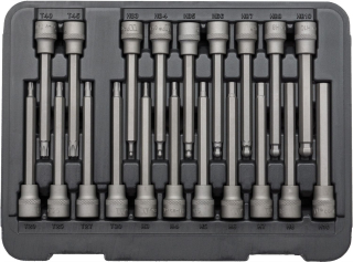 Hlavice zástrčné 3/8", Torx-Inbus-Inbus s koulí, extra dlouhé 110 mm, S2, sada 20 dílů, Welzh