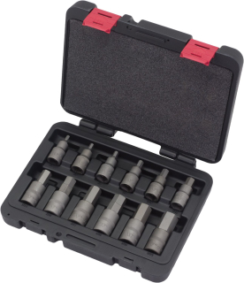 Hlavice zástrčné 1/2", Inbus s hrotem H5-H22, S2, sada 12 dílů, Welzh