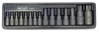 Hlavice zástrčné, Torx T6-T70, S2, sada 15 dílů, Welzh
